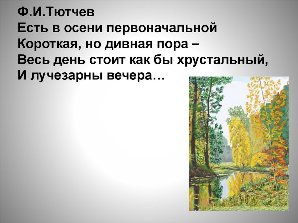 Презентация 