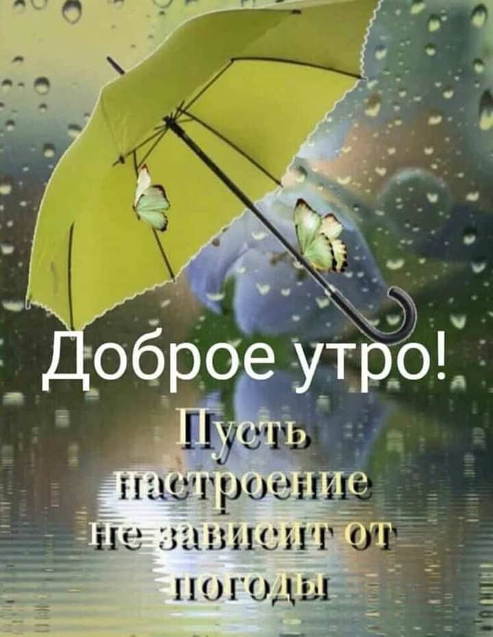 Доброе утро🌞 Улыбнись... Даже если дождь за окном не кончается!