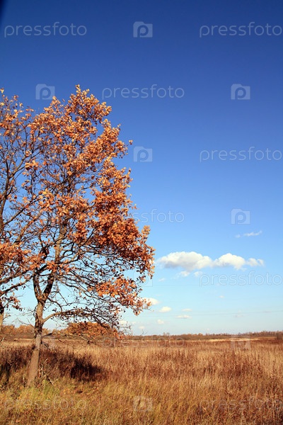 Осень в деревне / PhotoXPress