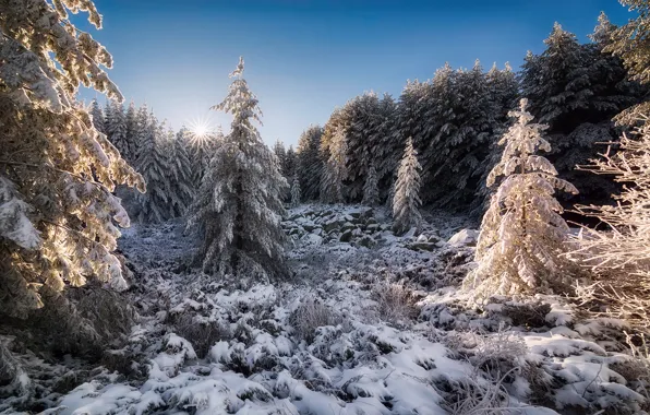 Ноябрь – переход от осени к зиме ...