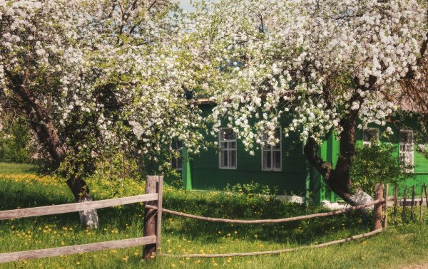 Весеннее утро в деревне, Дмитрий Лёвин- русский пейзаж ...