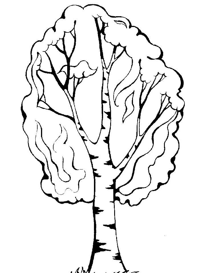 Раскраски Береза распечатать бесплатно в формате А4 (21 ...