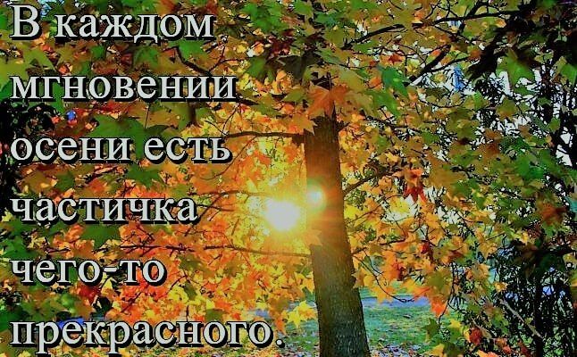 Цитаты@bibl_1#Цитата#Осень ...