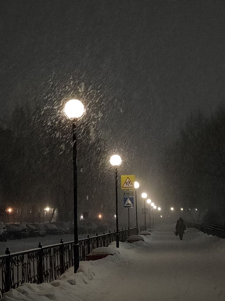 Зимний лес во время снегопада. В зимнем ...