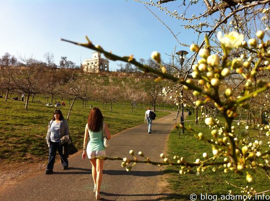 Пражская весна. Чем занимались красноармейцы в освобожденной ...