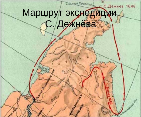 Ключевые орнитологические территории Чукотки – тема научной ...