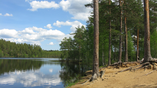 Картинка озеро осень лес деревья листья вода небо природа ...