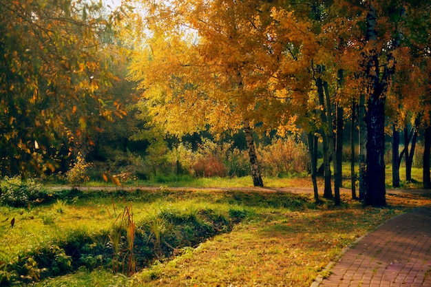 Скачать картинки Осенний городской ...