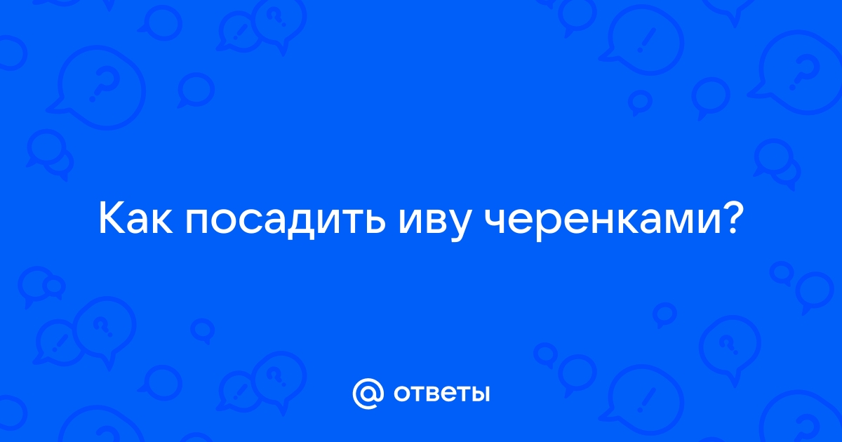 Выращивание ивы на плантации | Ива | ВКонтакте