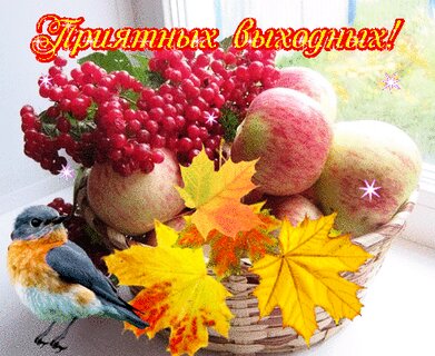 🍁Счатливой осени!🌞Самого доброго осеннего утра🍁Красивое ...