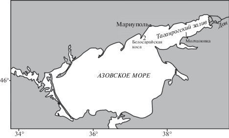 Seafarers Journal | Украинская ...