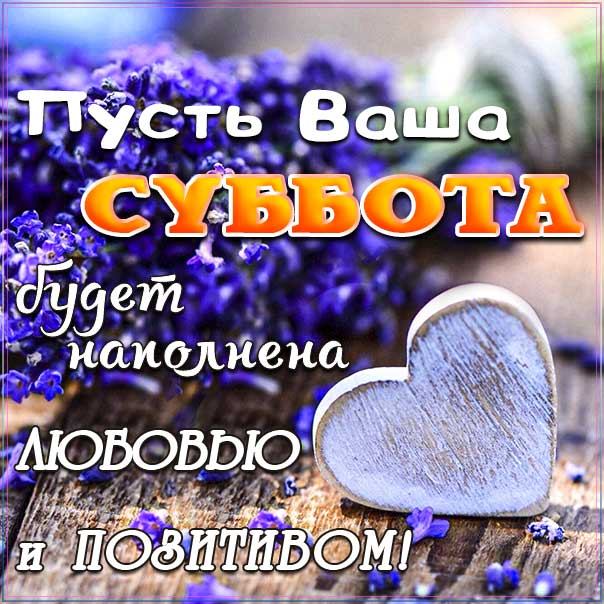 galina_flowers999999999 | С добрым утром друзья! Сегодня ...