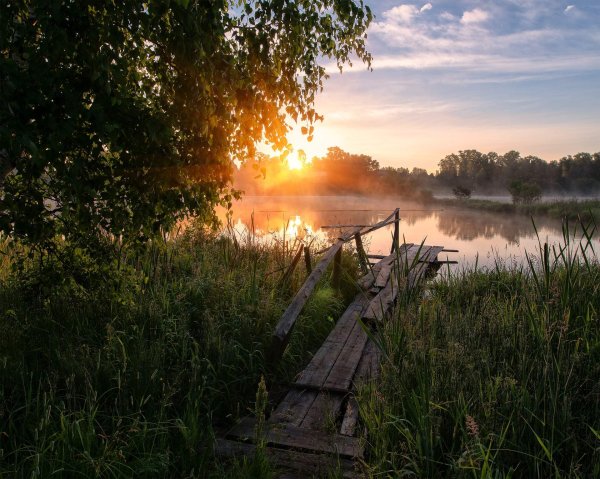 Деревня и Красота: истории из жизни, советы, новости и юмор ...