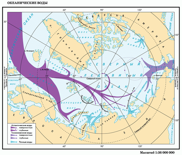 Восточно-Сибирское море — Википедия