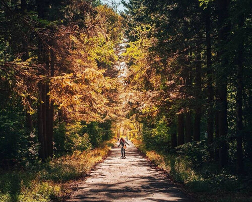 Отель SOPKA | Хабаровск | 🍁🍁🍁Осень в ...