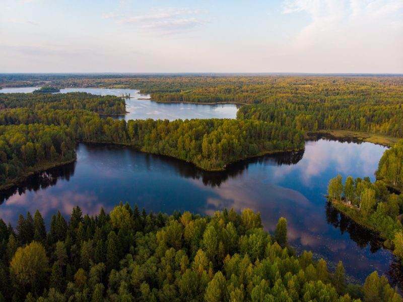 🍁 🍁 🍁 ВАЛДАЙ В ЗОЛОТЕ Прекрасный день, чтобы провести его ...