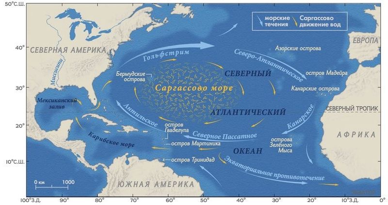 На Мексику и Флориду надвигается Саргассово море