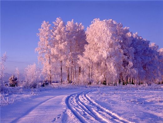 В каком году была самая холодная зима в Нижнем Новгороде