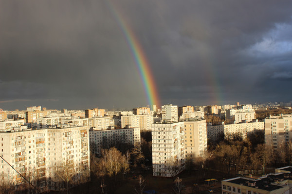 Обои цветы, цветущие, деревья ...