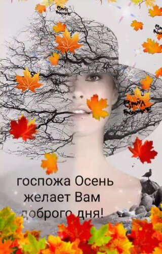 🍂🍁 ДОБРОЕ УТРО, ДРУЗЬЯ! ОТЛИЧНОГО ДНЯ! 🍁🍂 Всю ночку Осень ...