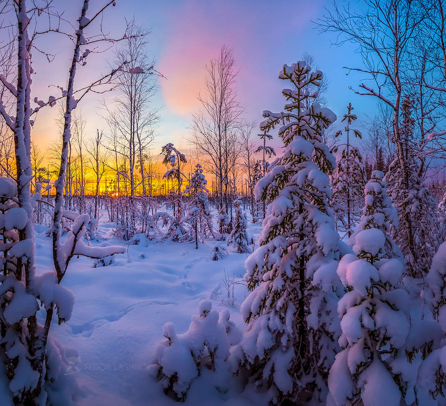 Зимний закат ... - Удивительная природа | Facebook