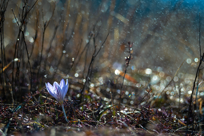 Nature and weather ...