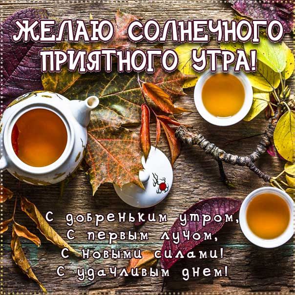 Картинки 