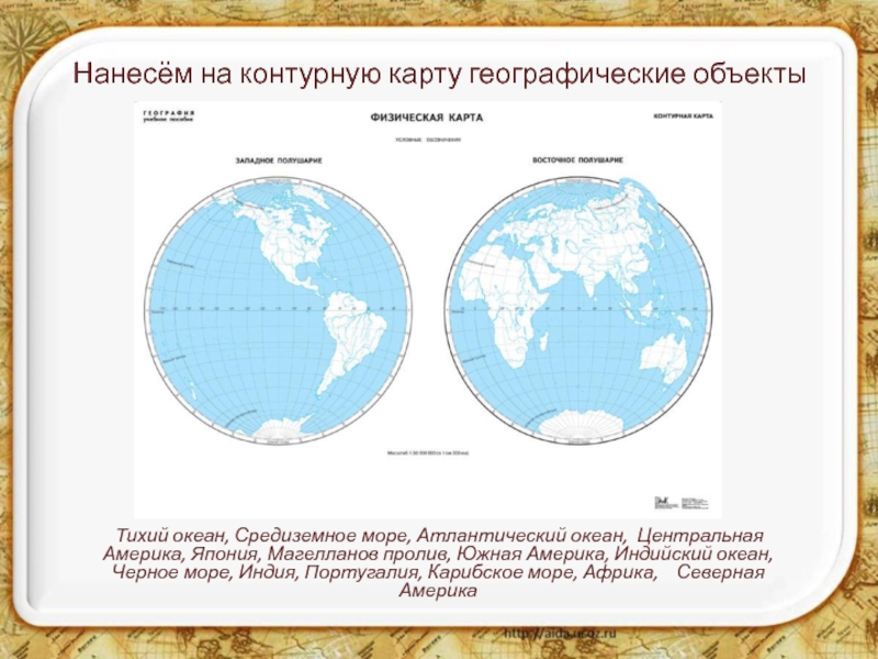 Сколько морей и океанов омывают территорию России ...