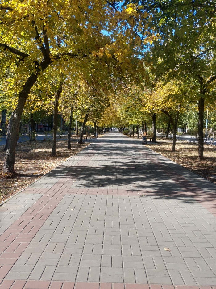 осень в моем городе :: Саша Ливень – Социальная сеть ФотоКто