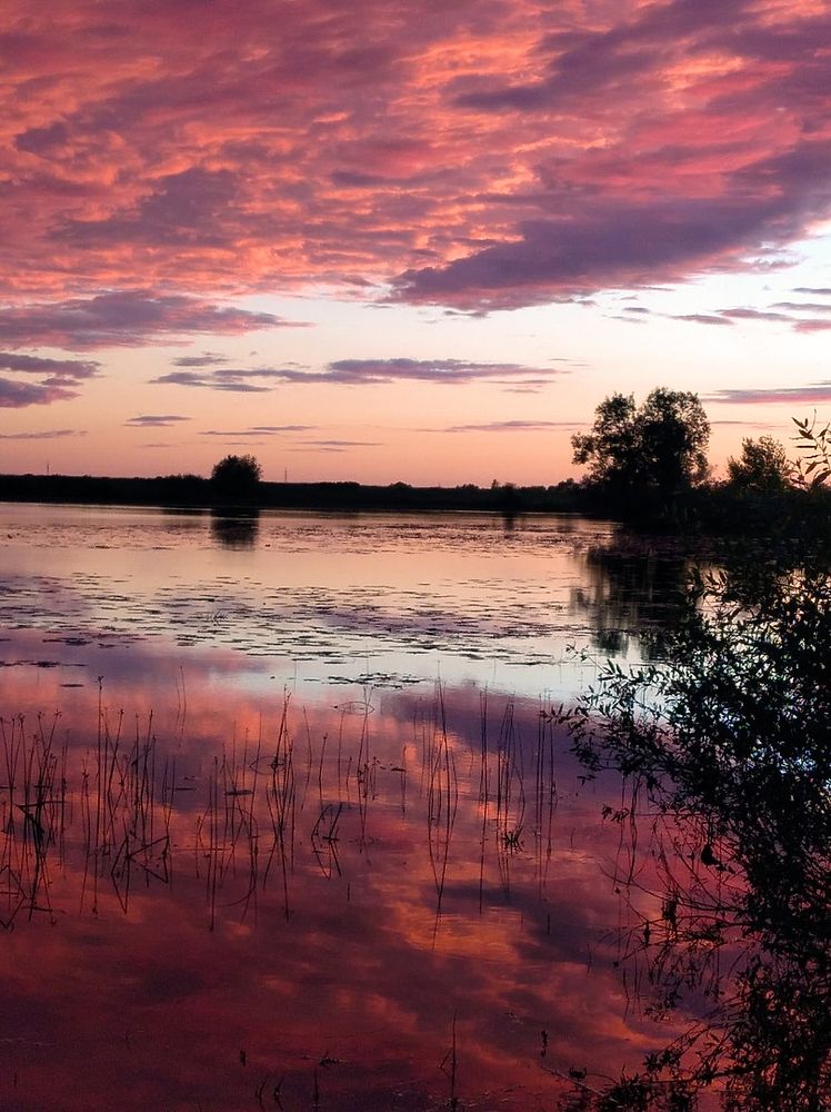 Красивый закат на берегу моря | Премиум Фото