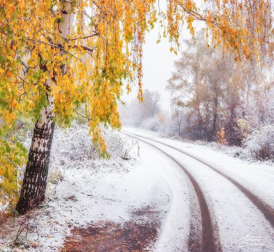 Новгородский музей-заповедник: что посмотреть, фото, музеи ...