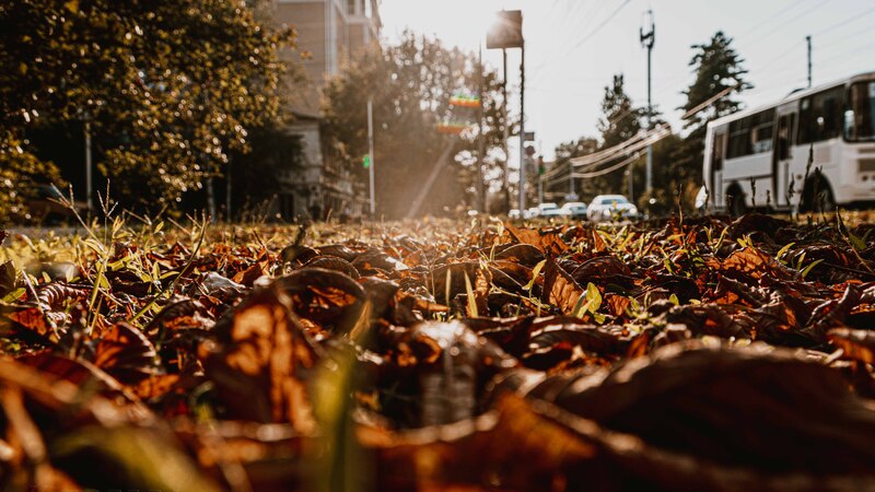 Ставрополь 🏞 Все события города 📰 | 🍁 Осень на Холодных ...