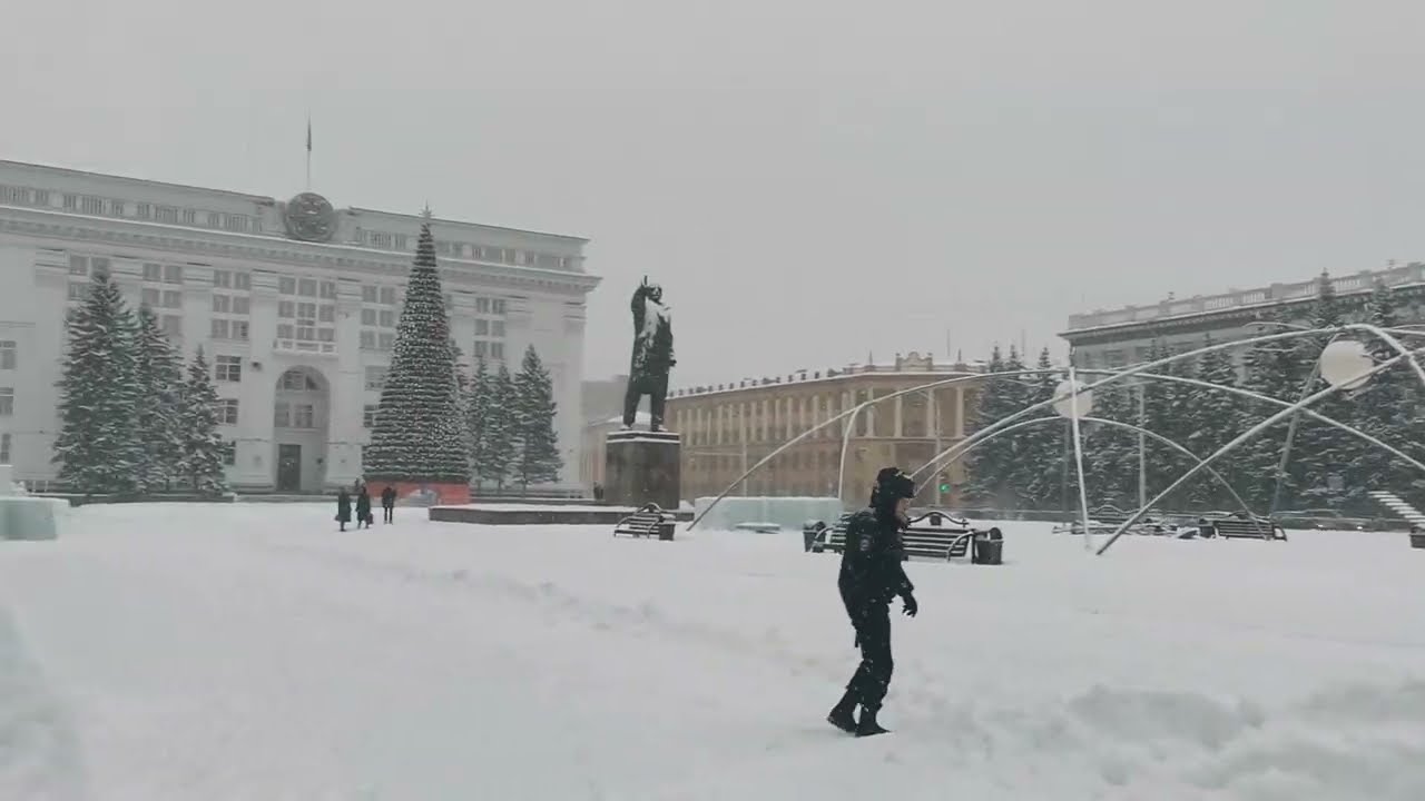 Зимний лес в Сибири | Пикабу