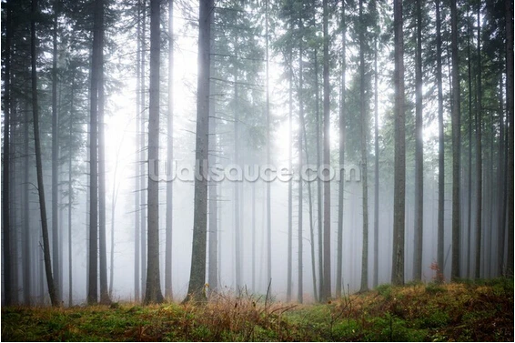 Nature,солнце,Fog in the forest ...