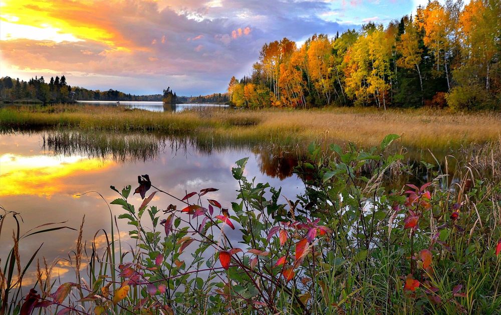 Обои на рабочий стол Осенний лес отражается в спокойной воде ...