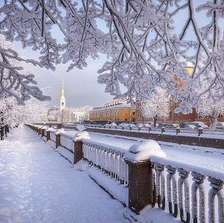 Зимний день. Санкт-Петербург» картина Шевчук Светланы маслом ...