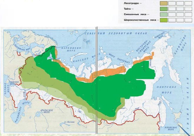 Природные зоны. - Окружающий мир - Презентации - 4 класс