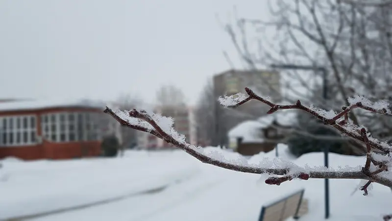 Ноябрь - последний месяц осени ...