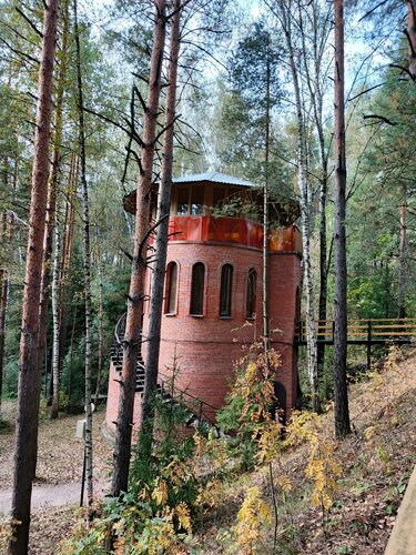 Экологический маршрут «Босоногая тропа»