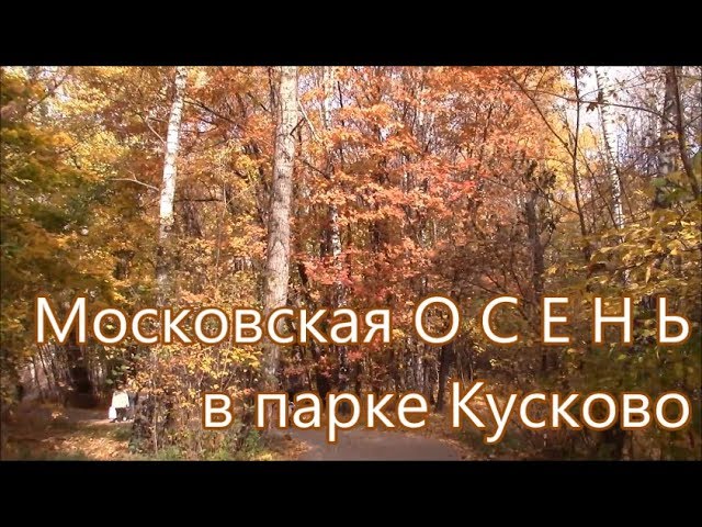 Золотая осень в Кусково — DRIVE2