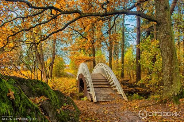 золотая осень в парке Монрепо...