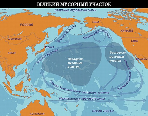 Ученые предупреждают, что мусора в ...