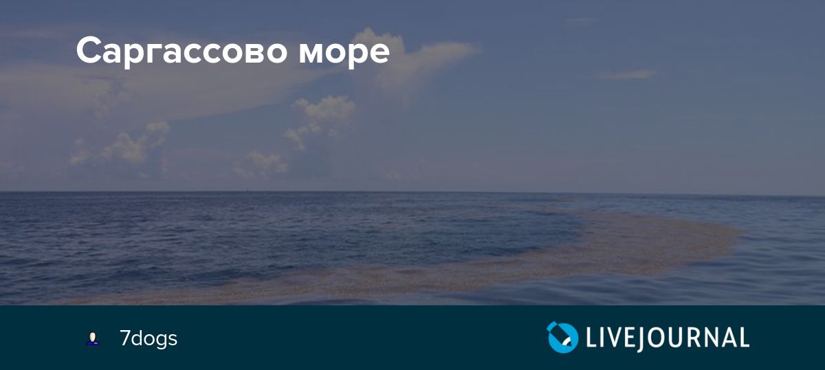 Моря и заливы на карте — задание ...