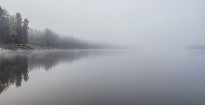 Submerged forest at Lake Shirakawa - Fog