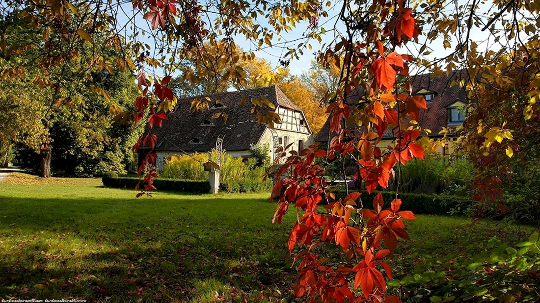 🏡Как подготовить деревья и кусты к зиме: 9 дел на даче ...