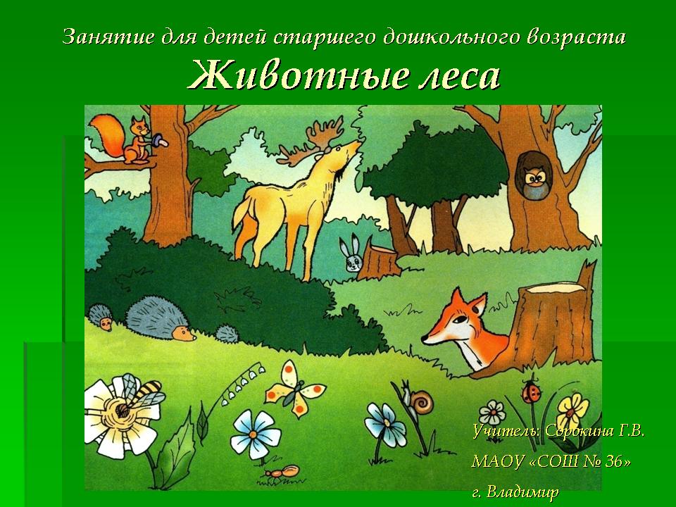 22 Бесплатные Карточки Лесные животные на Русском | PDF