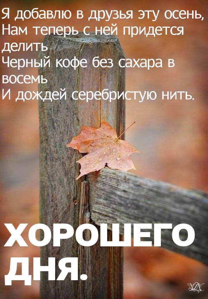 Осень, ты на грусть мою похожа... - Free PNG - PicMix