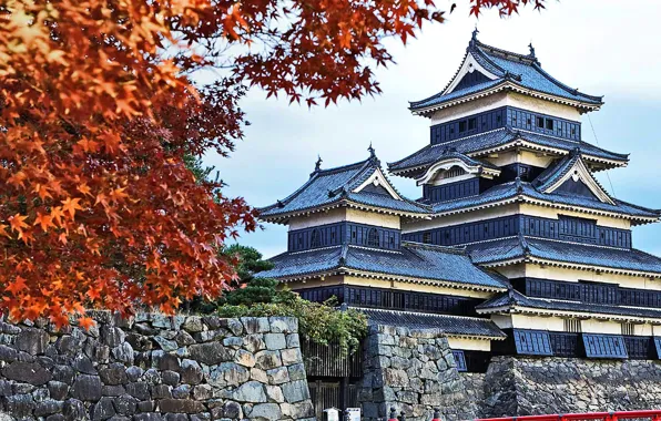 Mount Fuji в цвете осени, Япония Стоковое Изображение ...