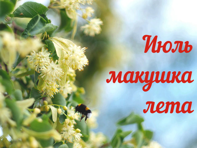 Про июль: dasha_boo — LiveJournal