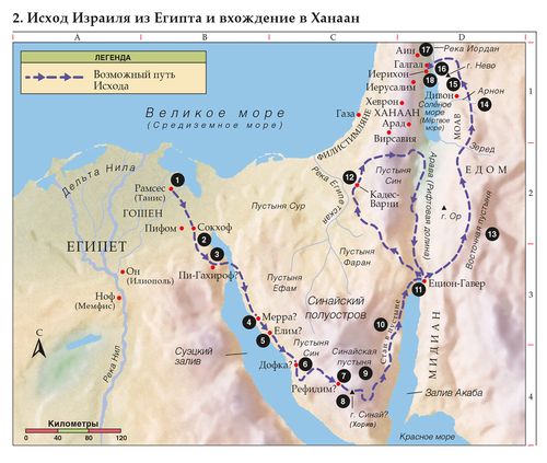 Новая интерактивная энциклопедия «Подводный мир — Красное море»